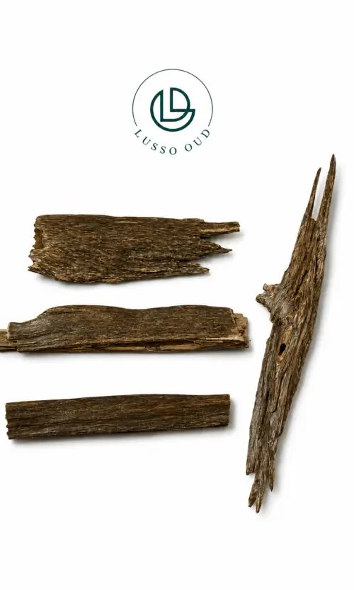 هندي رويال